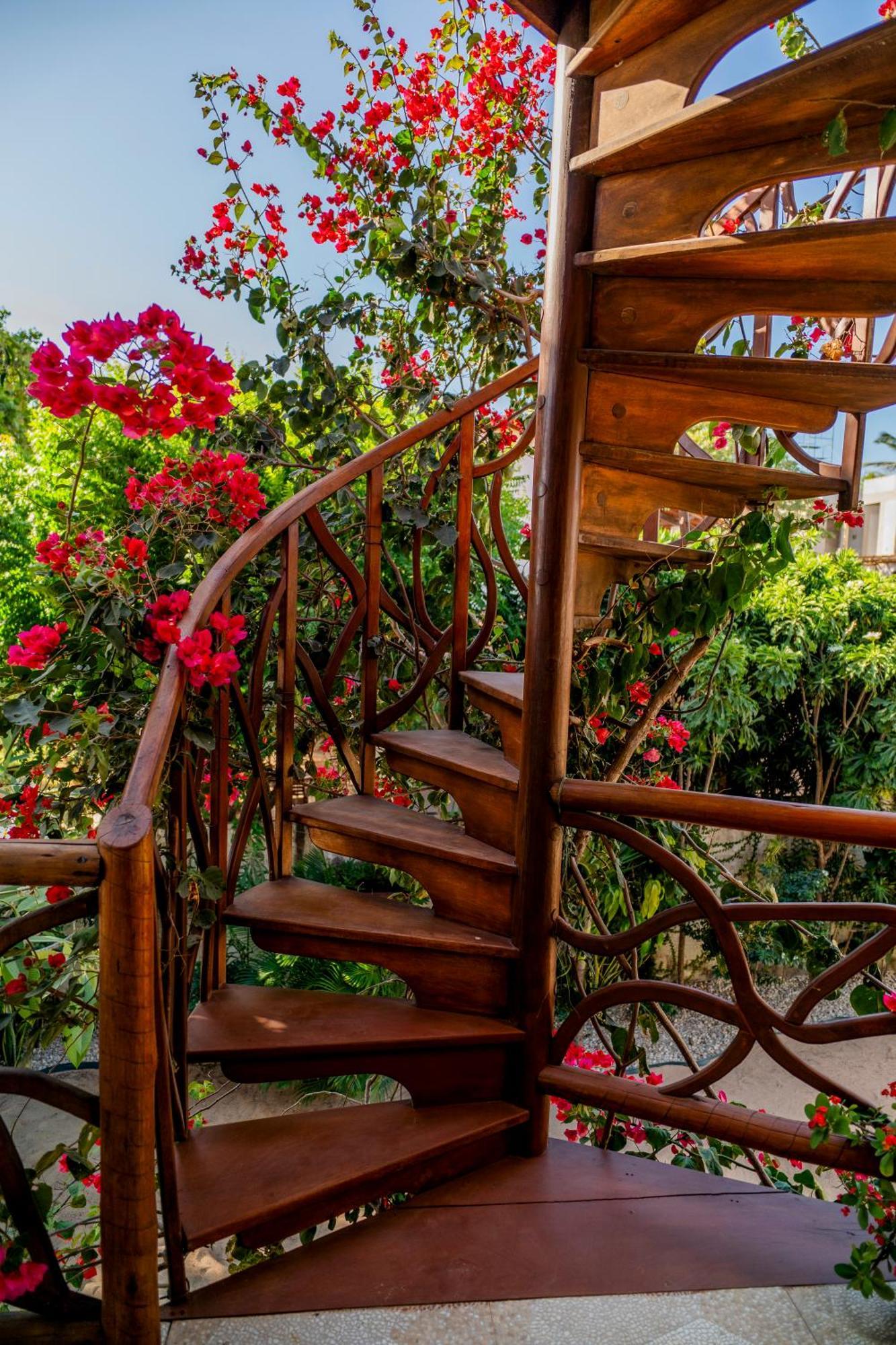 ז'יז'וקה דה ז'ריקואקוארה Swiss Garten Jeri מראה חיצוני תמונה